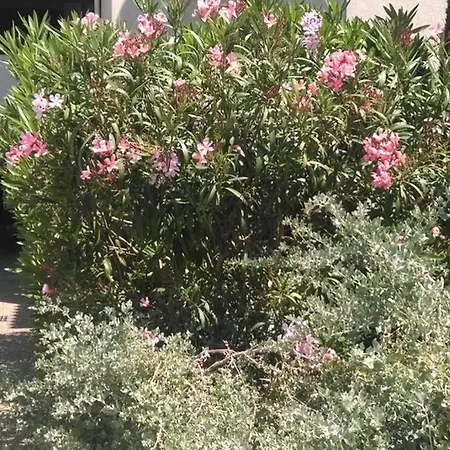 Particulier Loue T3 En Rez De Jardin à 30 Mètres De La Avec Un Double Box Appartamento La Ciotat